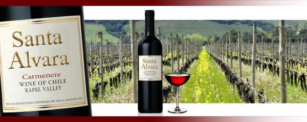 當(dāng)日特價兩個月銷量的TOP8產(chǎn)品排名出來了!冠軍居然不是法國葡萄酒,就是。