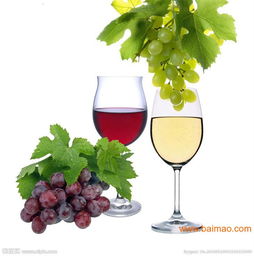 上海保稅區(qū)法國葡萄酒專業(yè)進口報關代理服務全解析